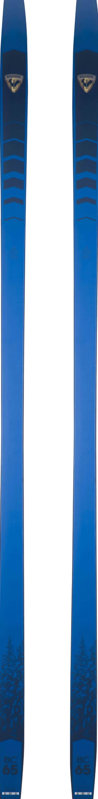 Unisex Nordic Backcountry Skis Bc 65 Positrack