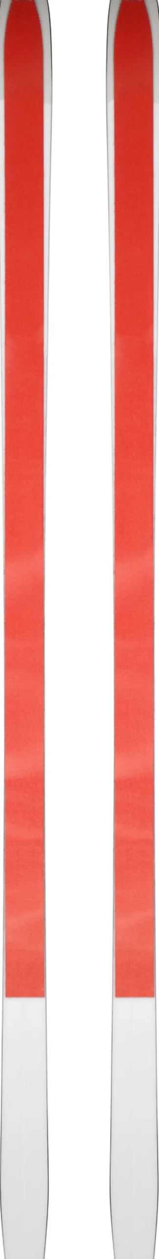 Unisex Nordic Backcountry Skis Bc 80 Positrack