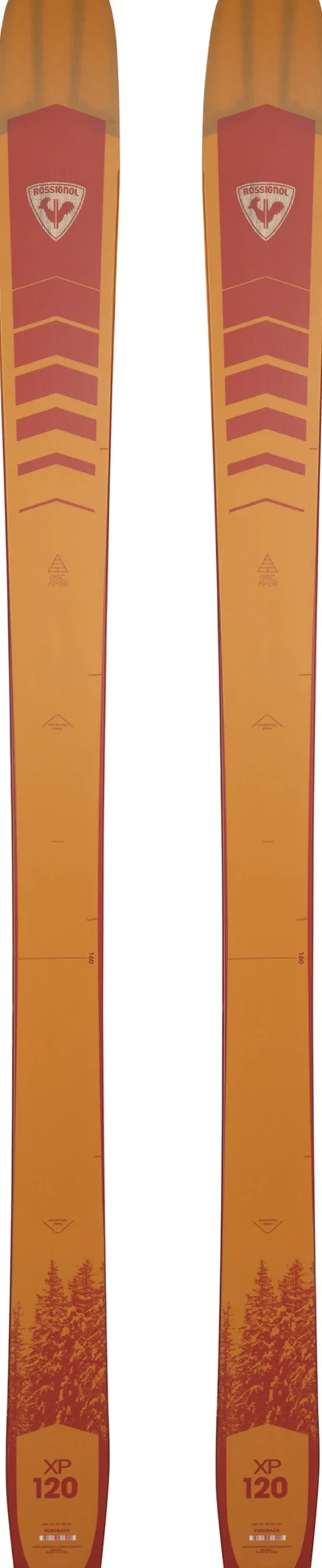 Unisex Nordic Backcountry Skis XP 120 Positrack