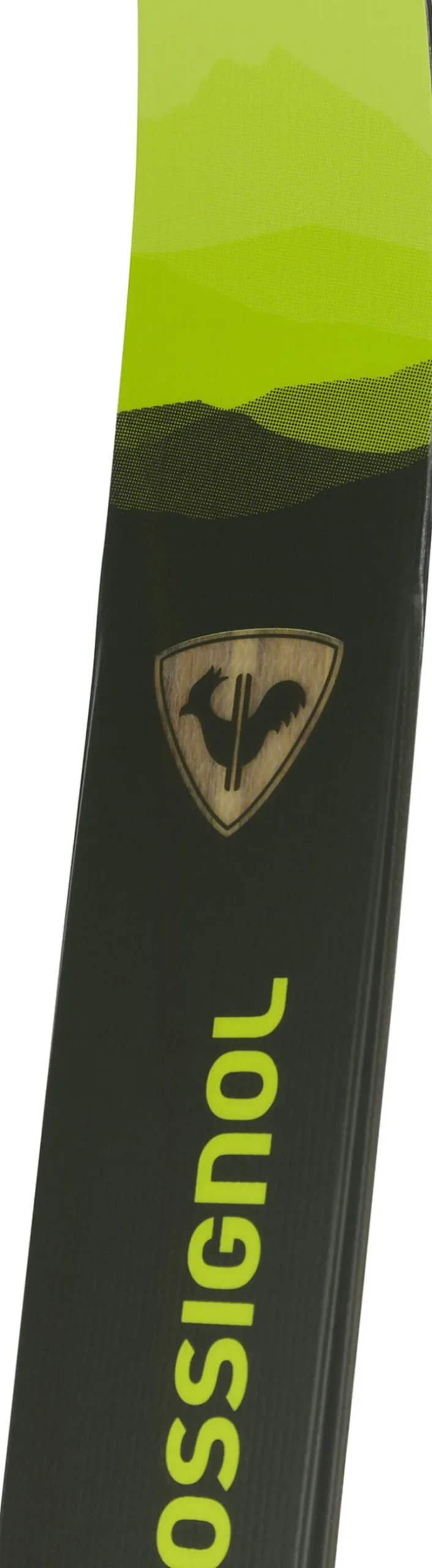 Unisex Nordic Skis EVO XT 65 POSITRACK